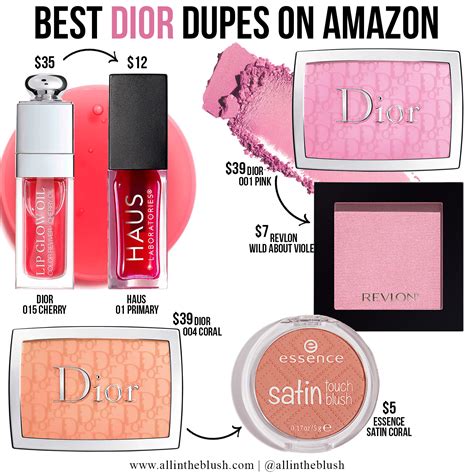 best cheap Dior lip dupe